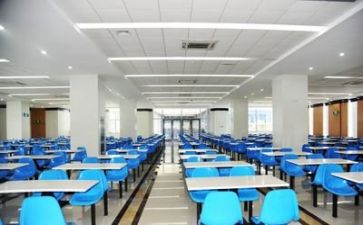 2024年食堂个人总结参考5篇