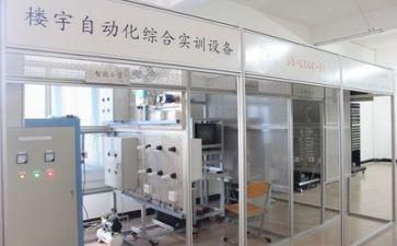 实训的心得体会6篇