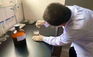 试验月工作总结通用8篇