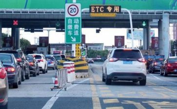 收费站票证员工作总结6篇