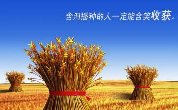 有收获的作文5篇