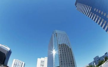 授权书和授权合同模板8篇