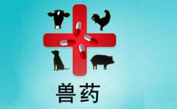 兽药店工作总结推荐5篇