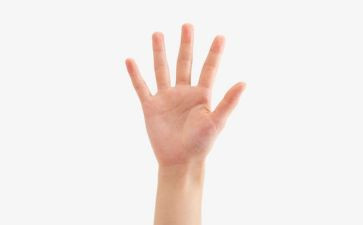 中班画手掌教案6篇