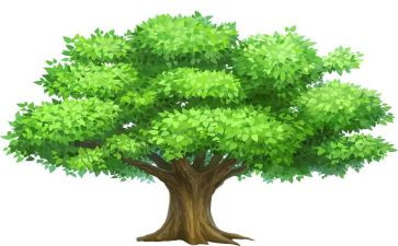 植树学生活动方案策划7篇