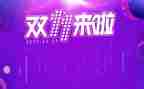 2024双十一活动总结7篇
