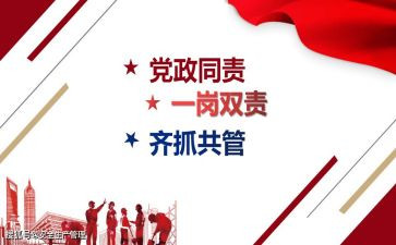 2024年一岗双责工作报告7篇