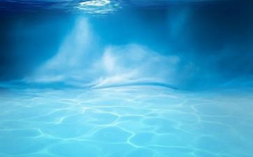 水生态日活动方案7篇