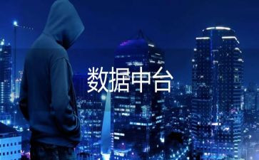 数据员工作总结8篇