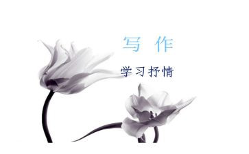 书抒情作文优质5篇