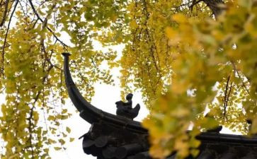 寺管干部培训心得体会优秀8篇