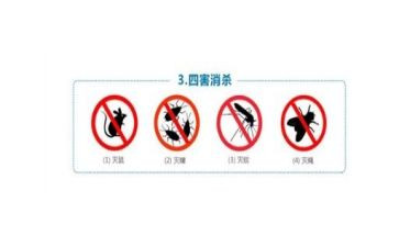除四害的工作计划最新6篇