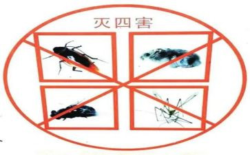 学校四害工作计划8篇