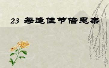 思亲人作文优秀8篇