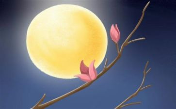 思亲人作文模板7篇