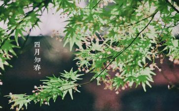 四月工作总结和工作计划7篇