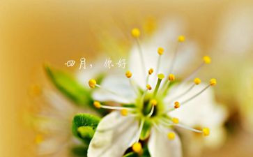 学生会四月工作总结通用8篇