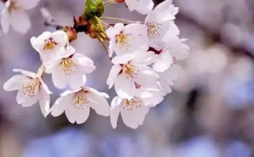 四月份的工作总结最新7篇