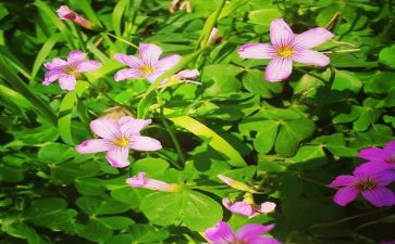 四月份的工作总结通用8篇