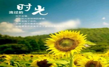 我岁月作文优质6篇