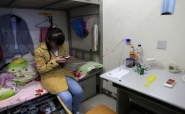 宿舍的工作计划推荐6篇