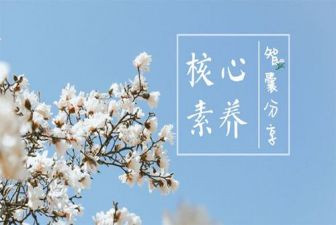 大学生职业素养的心得体会7篇
