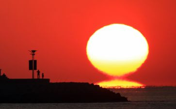 风和太阳读后感6篇
