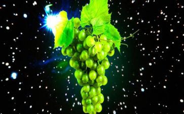 探索月球奥秘作文模板5篇