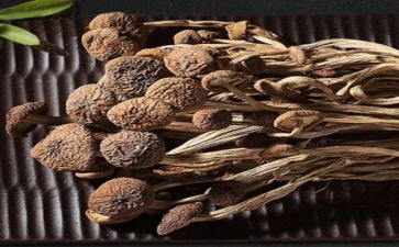 写特产作文推荐7篇