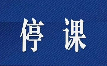 停课不停学上网课的心得体会5篇