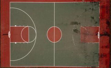 关于体育的作文最新7篇