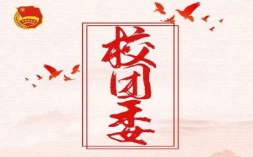 团委工作学期总结5篇