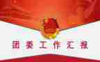 团委工作体会和心得体会6篇