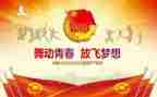 初中团委工作总结范文6篇