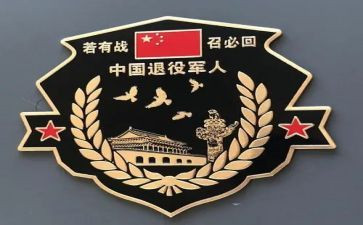 街退役军人服务站工作总结5篇