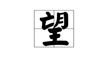 《愿望的实现》愿望的实现读后感6篇