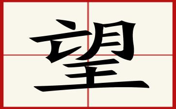 新学期展望作文300字8篇