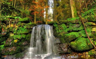 忘不了他优秀作文5篇