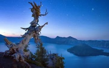 《忘不了他》作文5篇