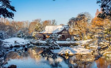 忘不了她优秀作文6篇