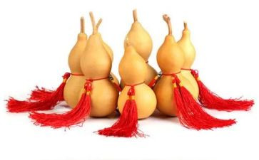 游葫芦谷作文300字8篇