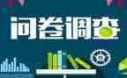 问卷的调查报告模板6篇