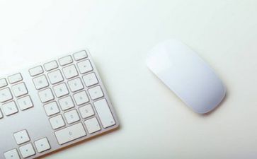 文员月工作总结和计划8篇