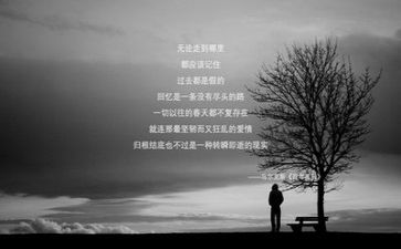 《文字》作文推荐5篇