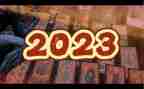 作文我的2023300字参考5篇