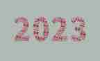 作文我的2023300字最新5篇