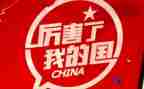 我的家我的国作文800字最新7篇