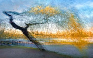 我的画幼儿园教案优秀6篇