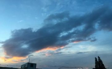 我的一天小学作文8篇