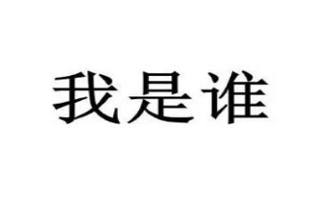 假假如我是谁作文5篇